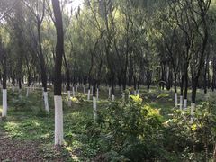 -东郊湿地公园