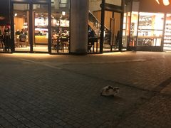 门面-鹿港小镇(黄金店)
