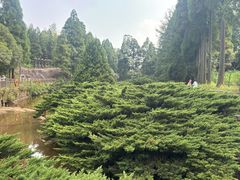 -玉苍山国家森林公园