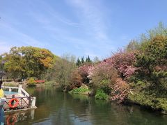 -白马涧龙池景区