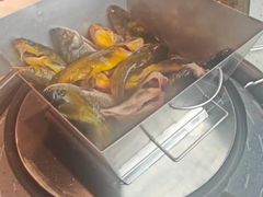-米氏火鱼·泡椒鱼火锅(李子坝老店)