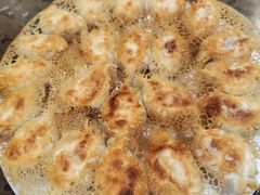 -周家大连水饺(美专校街店)