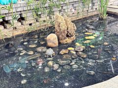 -夏家大锅台炖鱼馆
