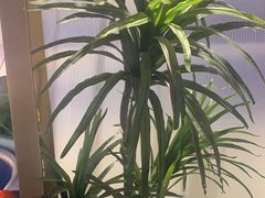 -新辣道鱼火锅(航天万源店)