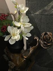 -禾颜社·精致美容