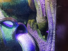 -太平洋海底世界