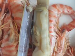 -凯华海鲜火锅·传承三十六年