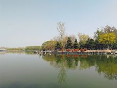 -大兴滨河森林公园