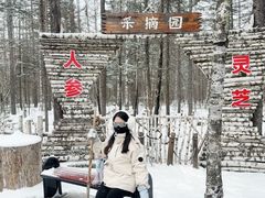 -峡谷浮石林景区