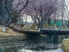 -三里河公园