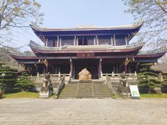 -乐山乌木文化博览苑