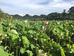 -贵阳蓬莱仙界