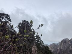 -黄山风景区
