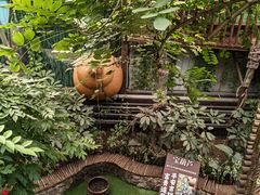 -呀路古热带植物园