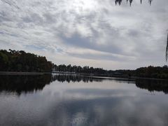 -湖滨客舍·湖北菜