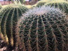 -北京植物园-展览温室