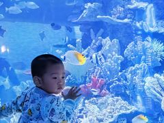 -左海海底世界