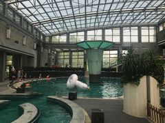 -和园景逸大酒店朗月汤泉