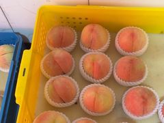 -老袁家蜜桃农场·阳山水蜜桃