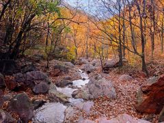 -环翠峪风景区
