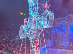 -广州长隆国际大马戏