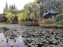 -无锡梅园公园
