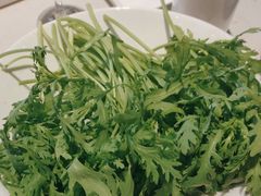 -蒙都43°9羊火锅·赤峰美食(桥北店)