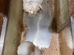 -上海大自然野生昆虫馆