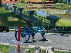 -金银湖国家城市湿地公园