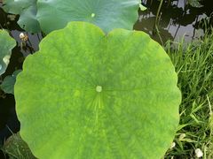 -东钱湖旅游度假区