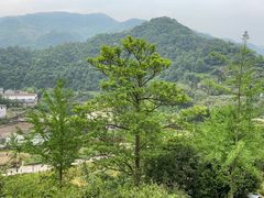 -章水镇文体中心