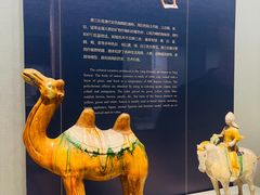 -镇江博物馆