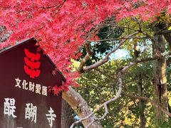 -醍醐寺
