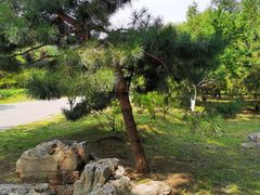 -东升八家郊野公园