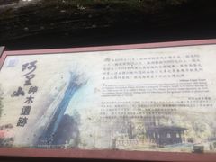 -阿里山神木遗迹