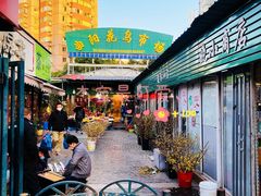 -曲阳花鸟市场(曲阳路店)