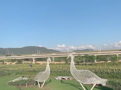 -光明小镇欢乐田园