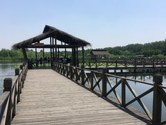 -溱湖国家湿地公园