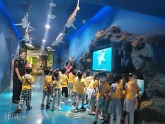 -武汉市江汉区楚天幼儿园(长江日报路)