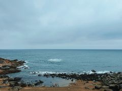 -广东惠东海龟国家级自然保护区