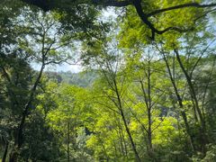 -大围山峡谷漂流