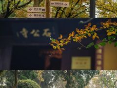 -苏州冶园园林民宿(太湖西山风景区店)