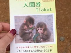 -岚山猴子公园