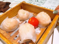 -蘩楼(南京西路中信泰富店)