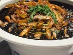 -柿合缘新京菜(国金中心商场店)