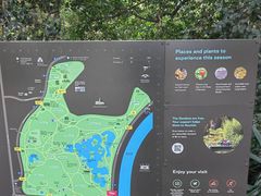 -墨尔本皇家植物园