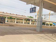 -潍坊站