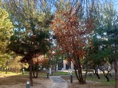 -北京国家会计学院