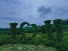-东莞植物园
