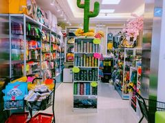 -北京观赏动物医院·24小时大型综合·猫专科·异宠专科
